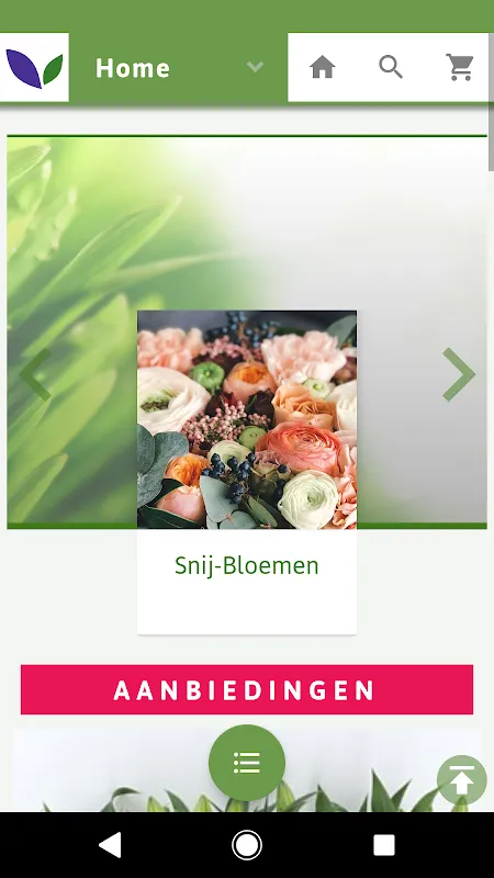 Gebr. Noort B.V. Gebr. Noort B.V.