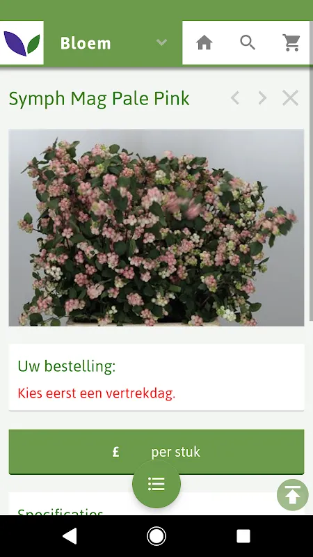 Gebr. Noort B.V. Gebr. Noort B.V.