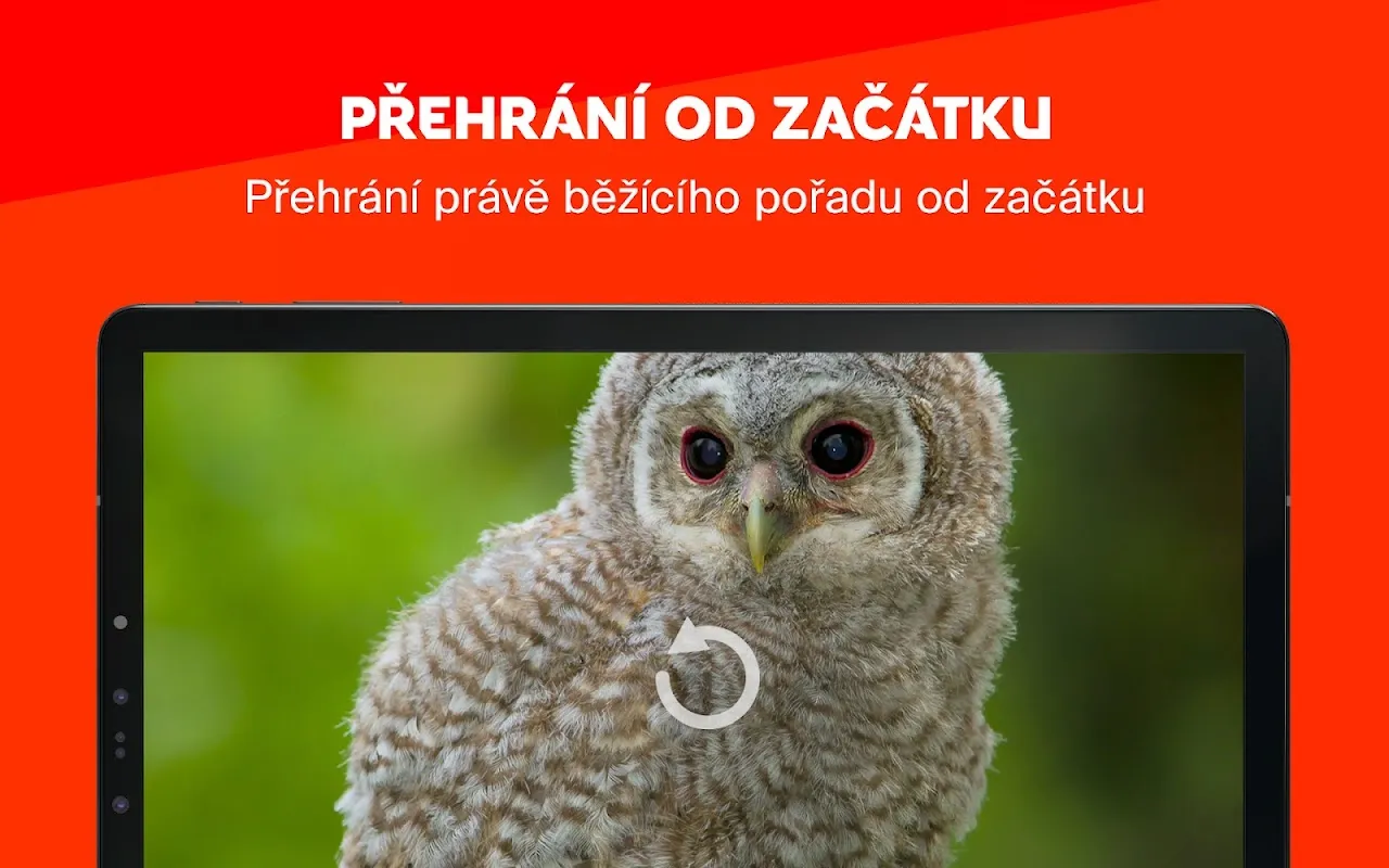 Skylink Live TV CZ Skylink Live TV CZ