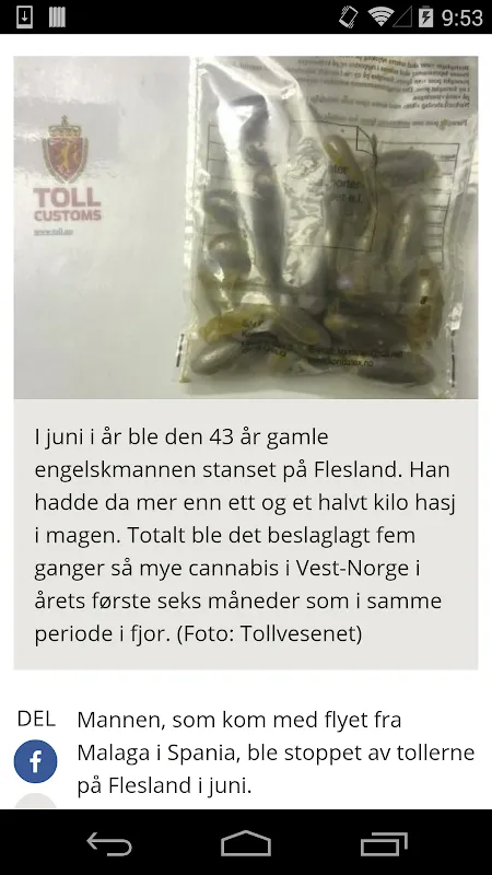 Bergen's Pulse in My Pocket