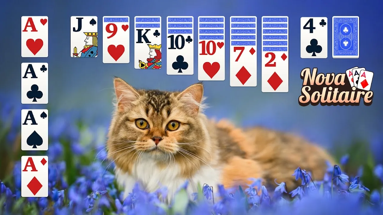 Solitaire: My Daily Mental Reset