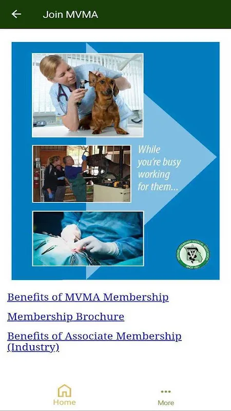 MO Veterinary Medical Assn MO Veterinary Medical Assn