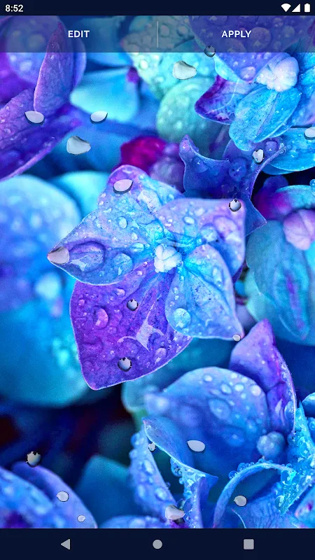 Water RainDrops Live Wallpaper Water RainDrops Live Wallpaper