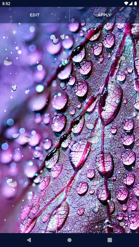 Water RainDrops Live Wallpaper Water RainDrops Live Wallpaper