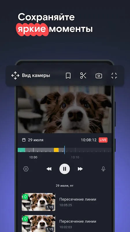 Видеонаблюдение и Умный дом Видеонаблюдение и Умный дом