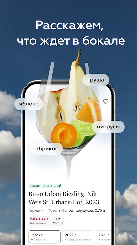 SimpleWine — не просто вино SimpleWine — не просто вино