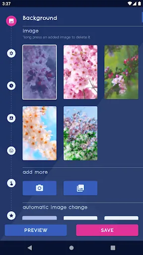 When My Screen Bloomed in Winter