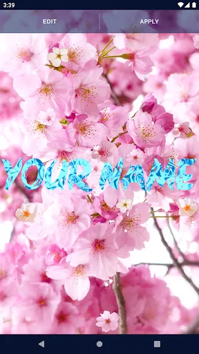 Sakura Flower Live Wallpaper Sakura Flower Live Wallpaper