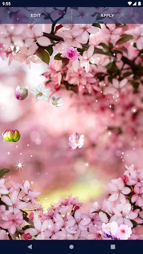 Cherry Blossom Live Wallpaper Cherry Blossom Live Wallpaper