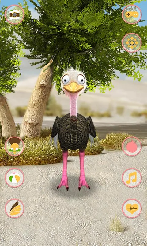 Rainy Days and Ostrich Chats