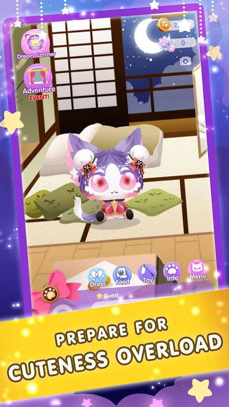 Dream Cat Paradise Dream Cat Paradise