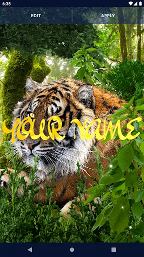 Brave Tiger Live Wallpaper Brave Tiger Live Wallpaper