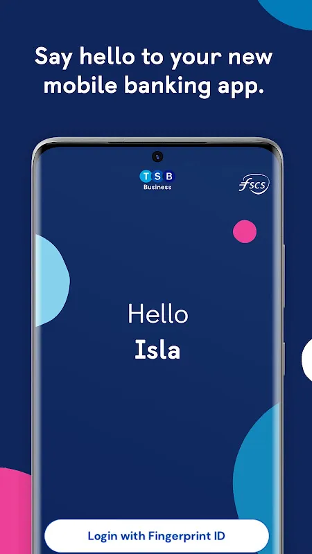 My Mobile Finance Lifesaver