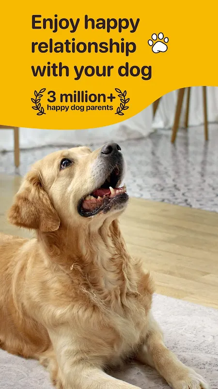 Woofz - Puppy and Dog Training Woofz - Puppy and Dog Training