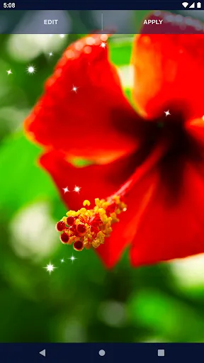 Animated Wallpaper For Xiaomi Animated Wallpaper For Xiaomi