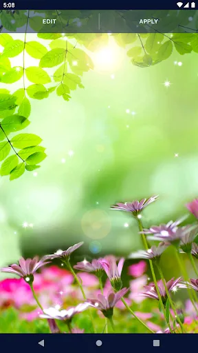 Animated Wallpaper For Xiaomi Animated Wallpaper For Xiaomi