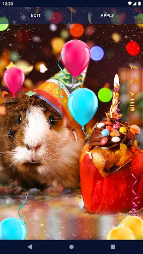 Happy Birthday Live Wallpaper Happy Birthday Live Wallpaper